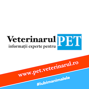 Echipa Veterinarul Pet